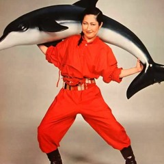 Soulomon - Heatwaves (orig. Akiko Yano (1977), 矢野顕子 - いろはにこんぺいとう) [OLD DEMOS]