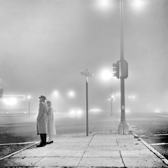 Foggy Lights