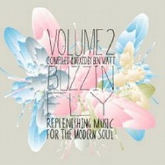 494 - Buzzin' Fly Volume 2: Replenishing Music For The Modern Soul (2005)