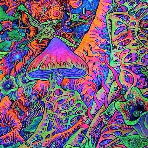 mdma