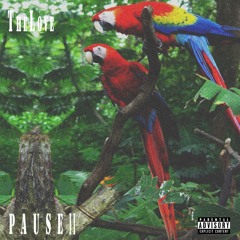 Pause II