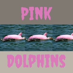 FREE INSTRUMENTALS | PINK DOLPHINS | VANOJ | JAYS508.COM