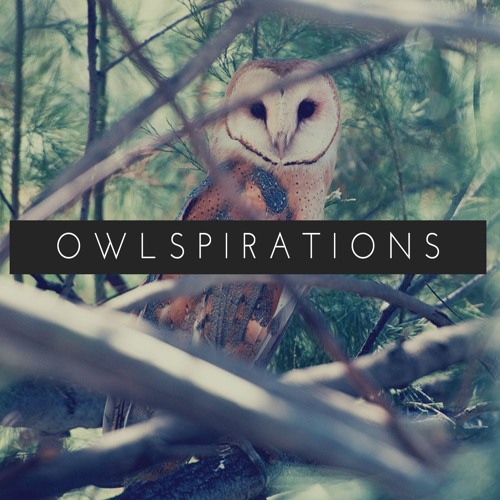 Stream Owlspirations Mixtape I by El Búho | Listen online for free on ...