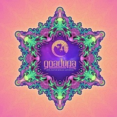 Damon @ Goa Dupa Festival 2017