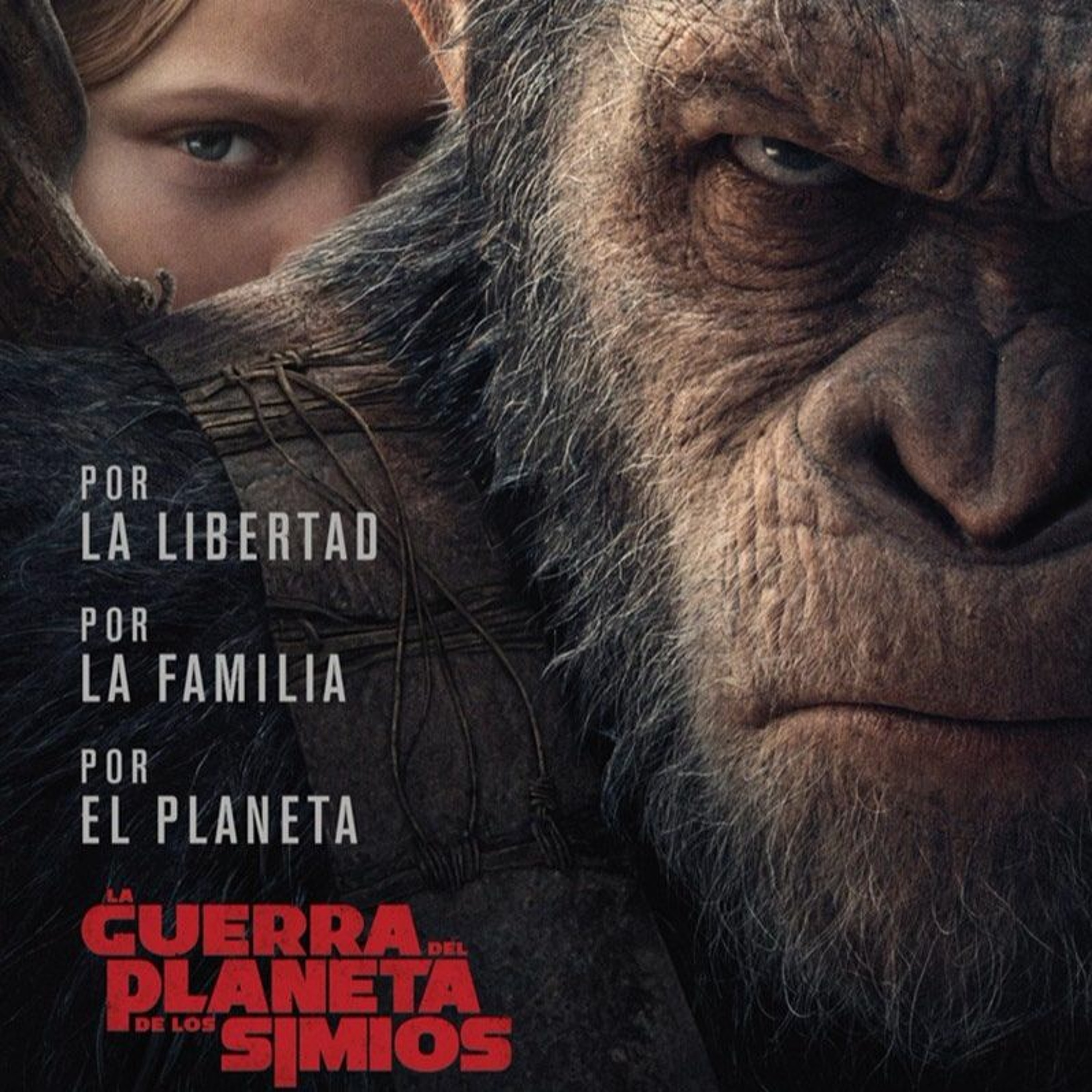100%Cine Críticas K