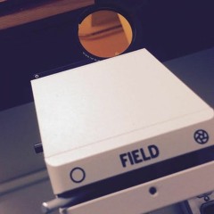 Moon Woman (HOMESHAKE Cover)