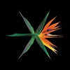 Bigbang Bang Bang Bang By G Dragon Bigbang Bigbang Bang Bang Bang By G Dragon Bigbang