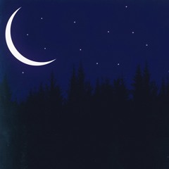 FRANKOCEAN//NIGHTS [[SLOTH.TOES WETWET BOOTLEG]]