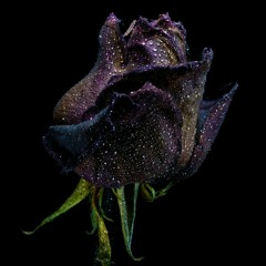 سميرة سعيد -حنيت لك