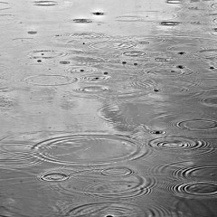 There Will Come Soft Rains - Adam Scott - WCC Fall 2015