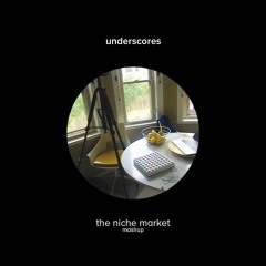 the niche market (mashup) [video in desc]