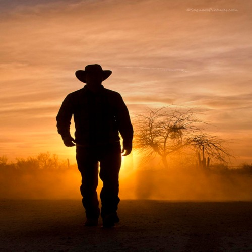 Walking (Original Mix)