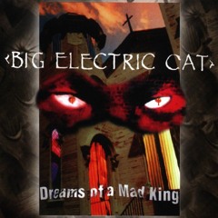 Big Electric Cat - Orchid Dreaming