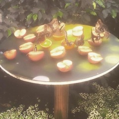 Lullaby For A Lost Soul