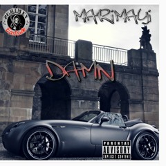 Damn (Produced By : Cease Rothstein )