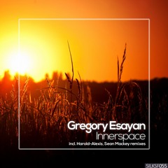 Gregory Esayan - Innerspace (Sean Mackey Remix) [OUT NOW!]