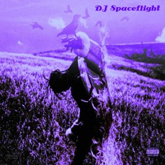 Travis Scott ~ Fish N Grits (ft. Wale) (Chopped & Screwed By DJ Spaceflight)