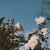 Artwork for i've been missing you lately [x j'san]