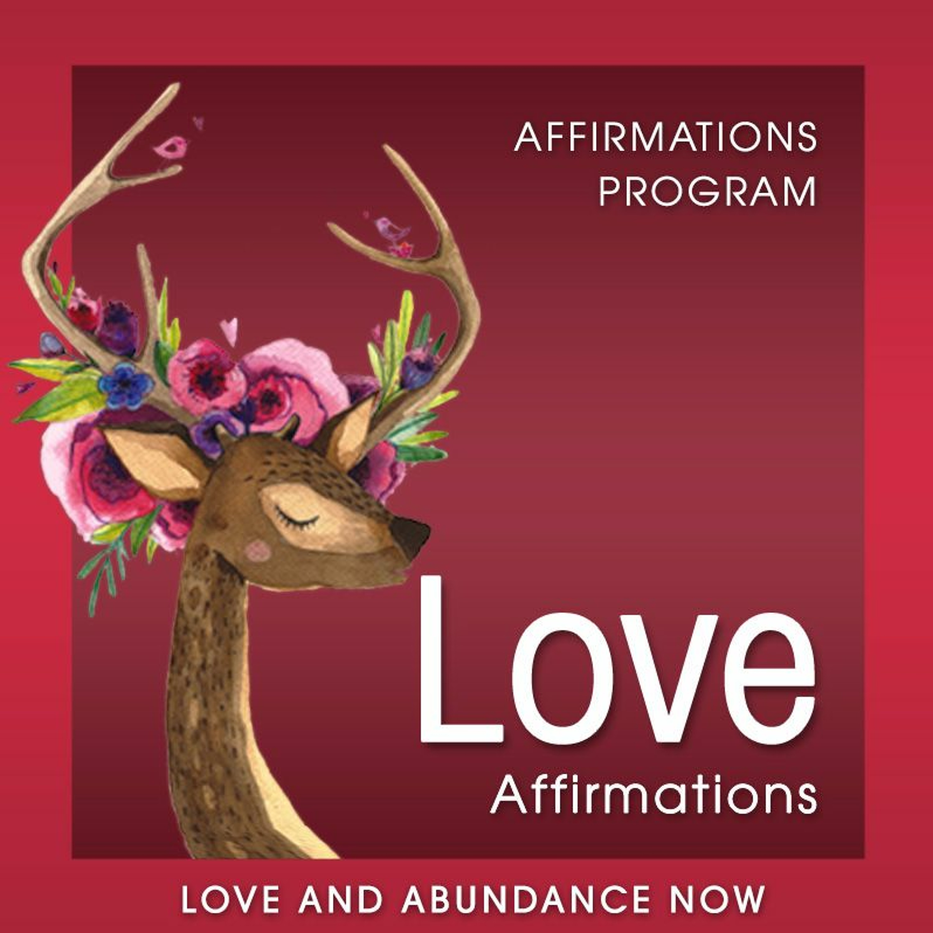 Love and Abundance Now - Law of Attraction Positive Affirmations, Attract Love, Attract Money, Attract Wealth and more!