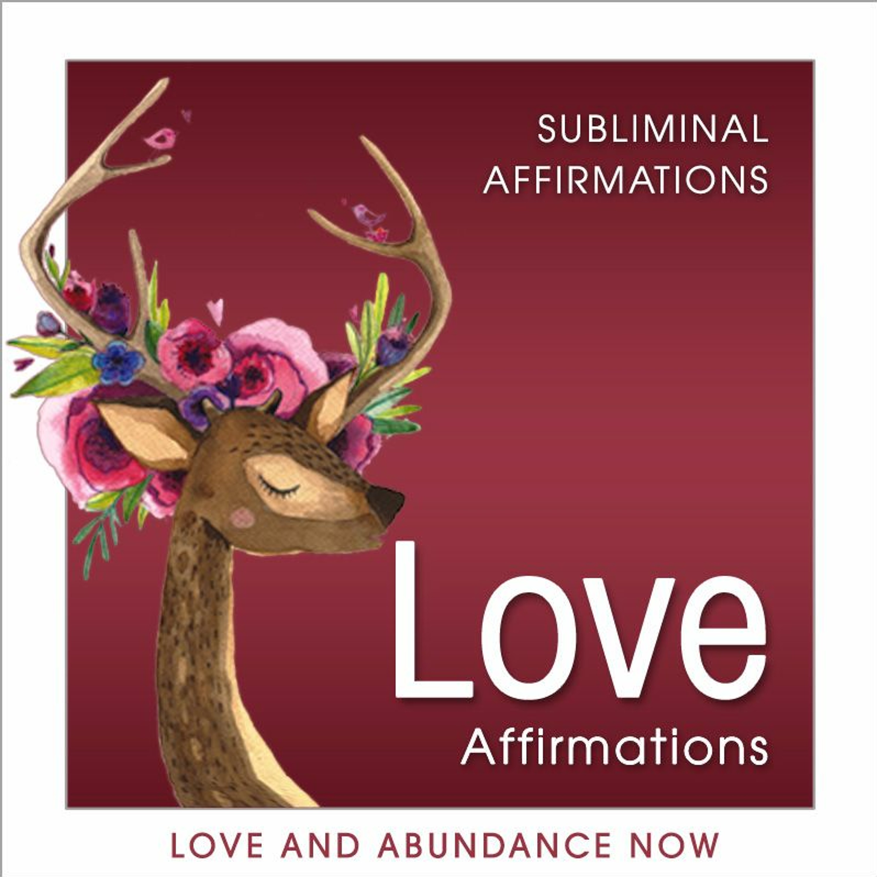 Love and Abundance Now - Law of Attraction Positive Affirmations, Attract Love, Attract Money, Attract Wealth and more!