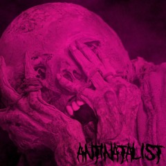 ANTINATALIST (ALBUM MIX)