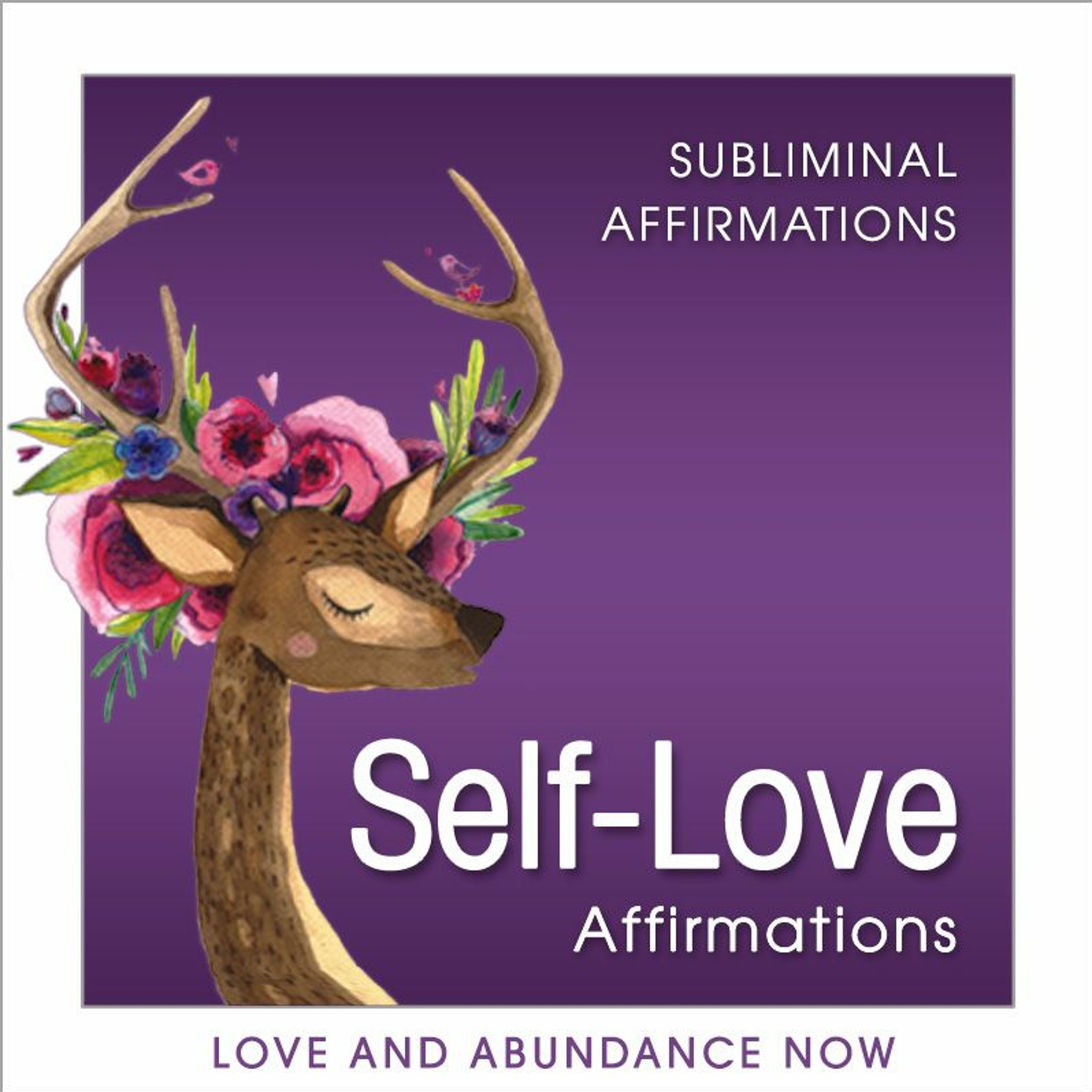 Love and Abundance Now - Law of Attraction Positive Affirmations, Attract Love, Attract Money, Attract Wealth and more!