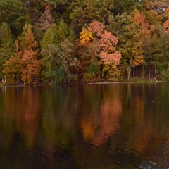 Fall (Pumpkin Spice Latte)