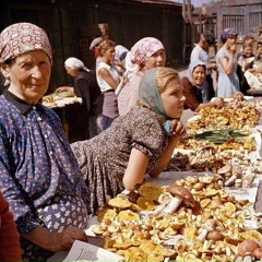 Торговля Грибами