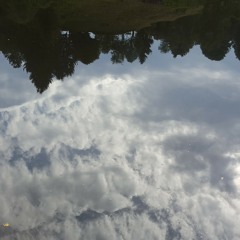 Habibi ya nour el-ain (cover) Jorinde