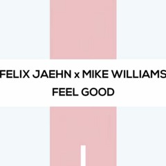 Felix Jaehn x Mike Williams vs. Lenz & Denx - Puzzles Feel Good
