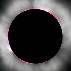 shadowed 🌑disquiet0292🌑