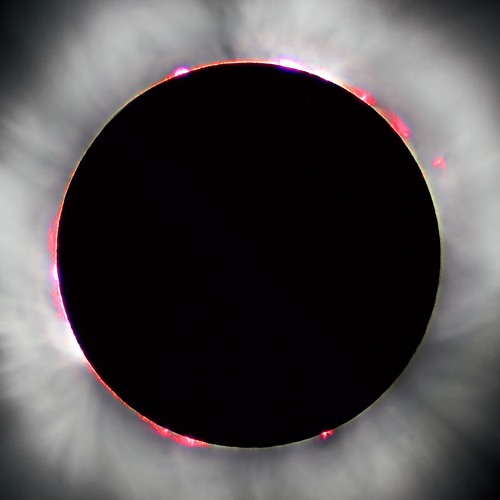 shadowed 🌑disquiet0292🌑