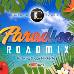 TC Paradise - nelieux Roadfix