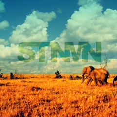 Waves - Indie Dance / Deephouse Mix