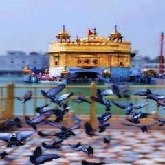 Jo Maaghe Thakar Apne Te--MINHAS