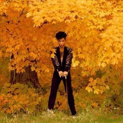 Купленная музыка - 3