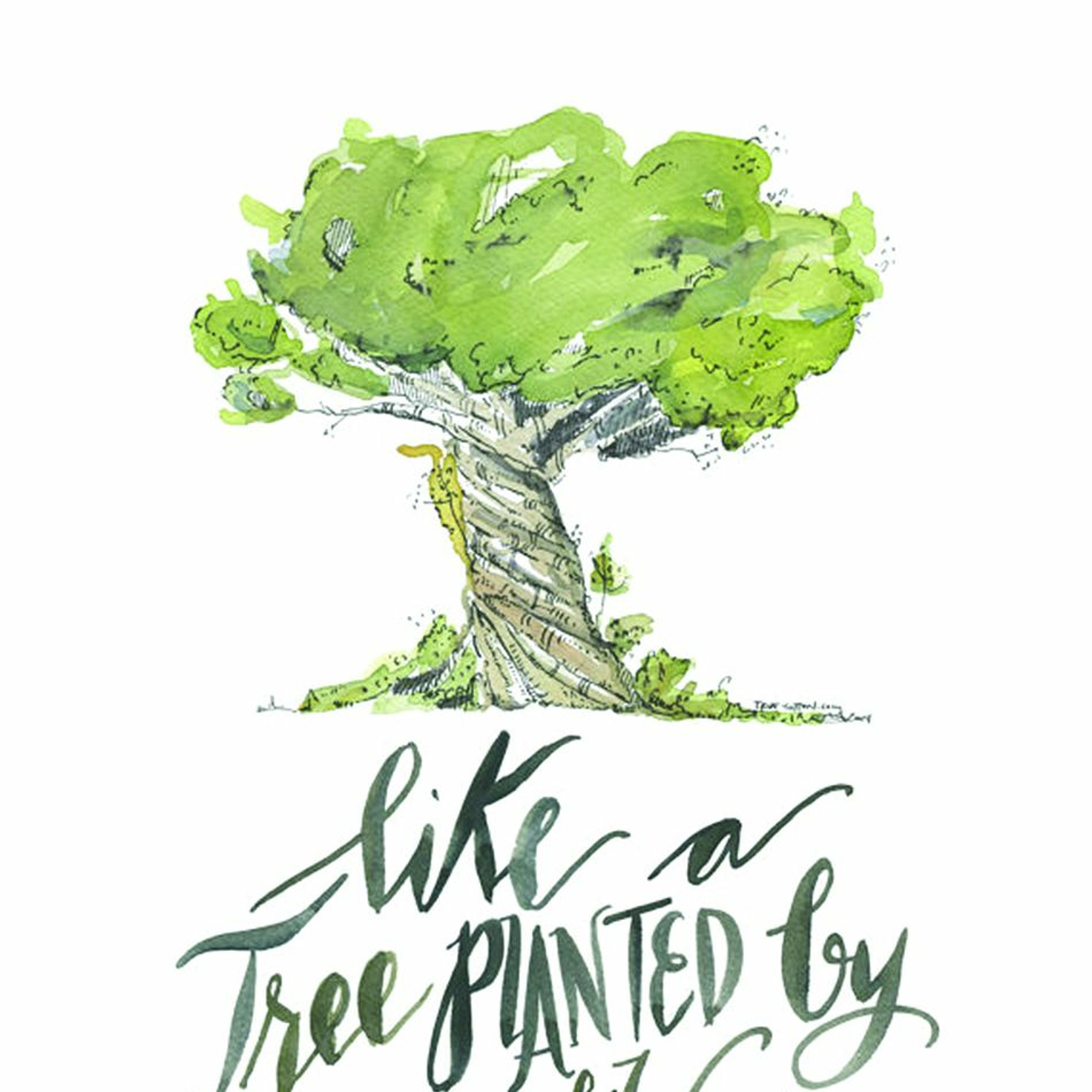 A Failure Of Vision - Psalm 73 - Summer with the Psalms 2017 episode artwork