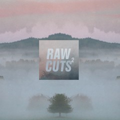 premace (chillhop raw cuts 2)