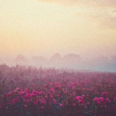 Music for the soul