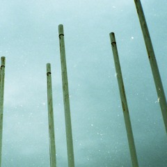 we. the pigs - Too Young