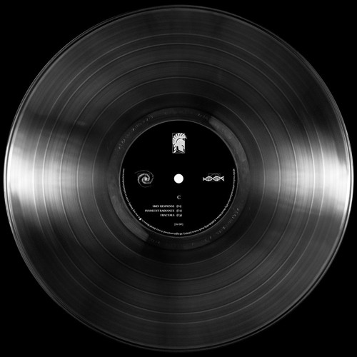 David Meiser - Skin Response