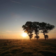 First Step after Coma (David Azor's Random Rework)