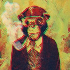 AnthropoiD - Naughty Night Monkey