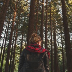 Fear, Dread & Anxiety: The Buddha in the Forest
