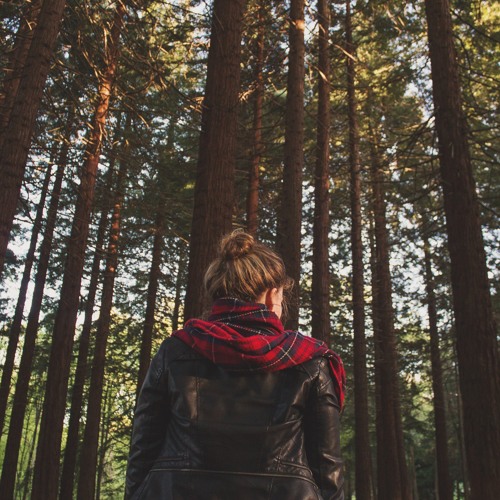 Fear, Dread & Anxiety: The Buddha in the Forest