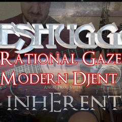 Meshuggah Rational Gaze - Modern Djent Cover