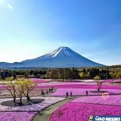 Salmo 80/81 -   07 - 08 - 2017