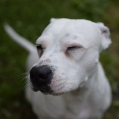 Thank You for a Real Good Time   8-6-17