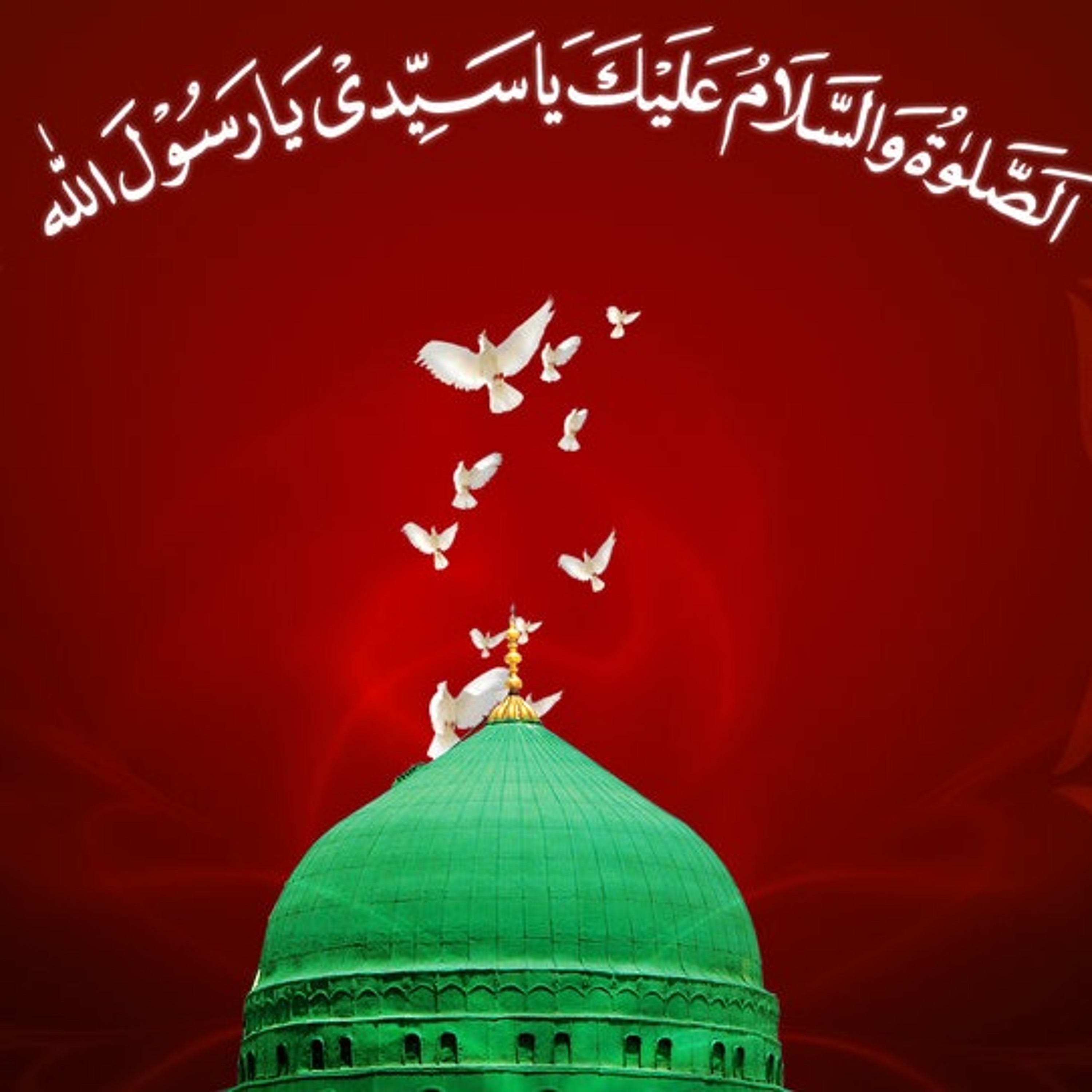 Saleem Safdar