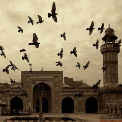 - نهج البردة